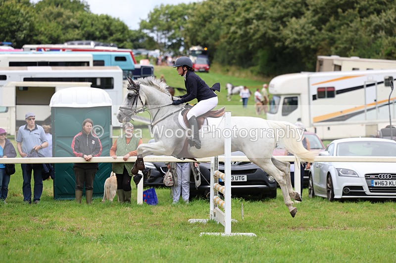 3E7A7047 - Class 5: Senior British Novice/90cm open