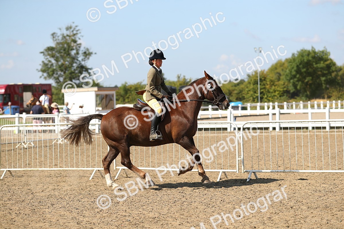 SBM_03133 - Class 44 Riding Club Horse/ Pony