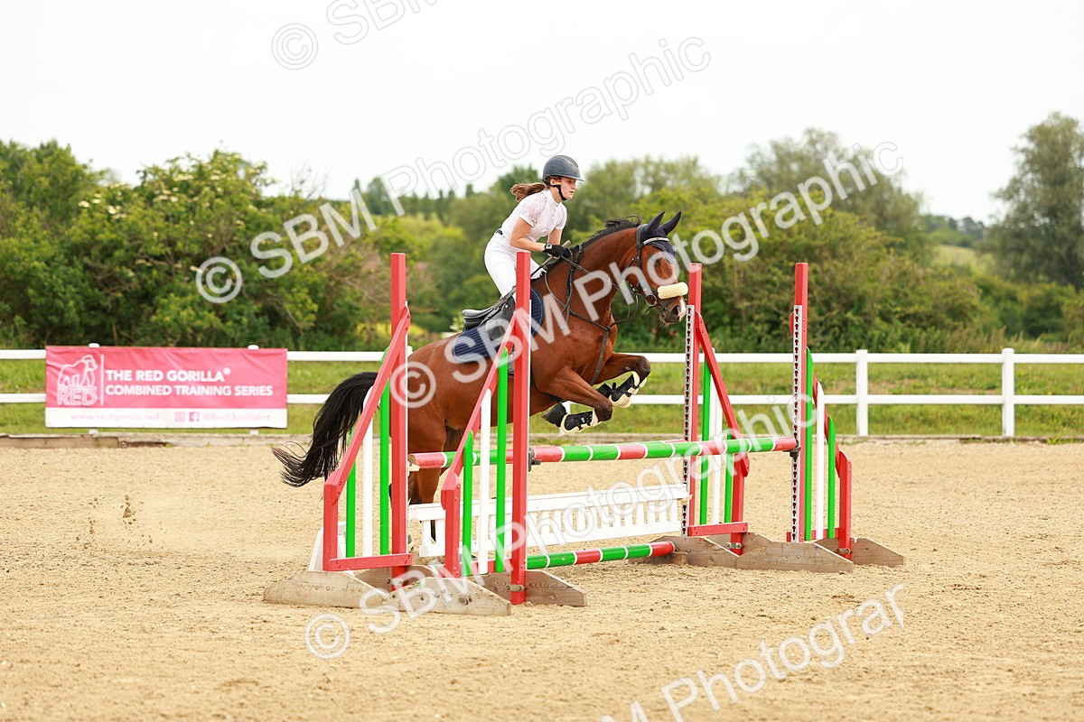 SBM_000463 - Class 2 - Senior British Novice - 90cm