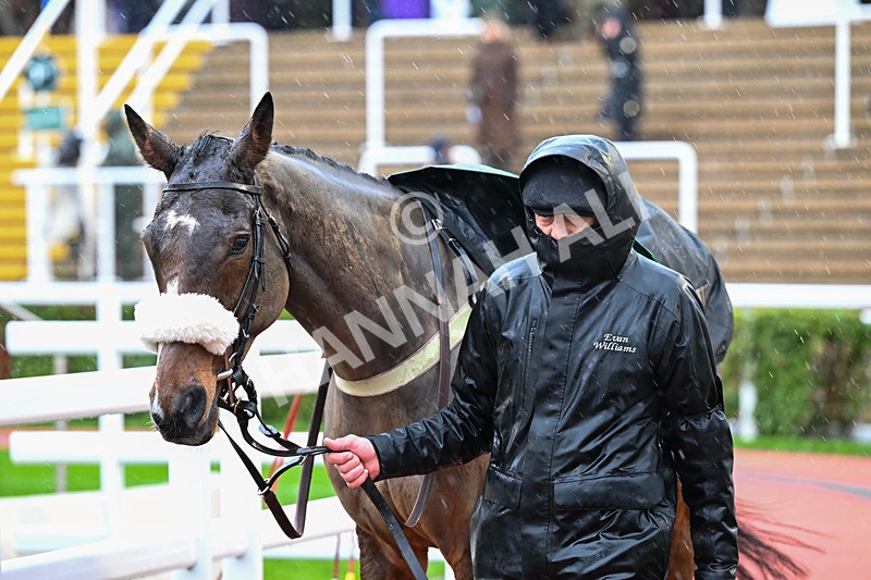 141125-Race 4-Libberty Hunter-0139 - Race 4
