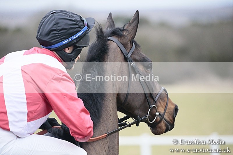 PtP 180218 337 - Combined Services Point-to-Point Larkhill 18/02/18