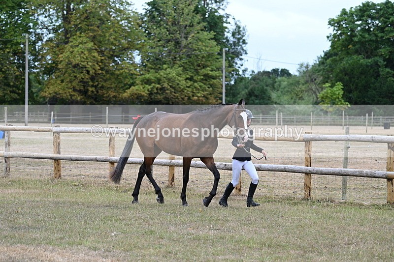 WJ7_8785 - Class 4a Prettiest Mare 14.2hh and over