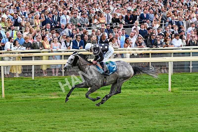 250726-Race 6-Likealot-1214 - Race 6 16.17pm Sky Bet Build A Bet Handicap