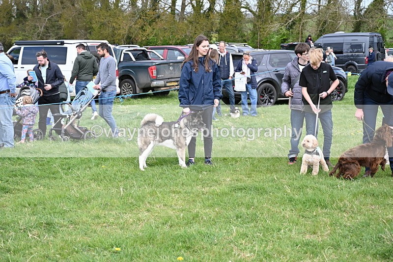 WJ6_8643 - Class 6 Best Rescue