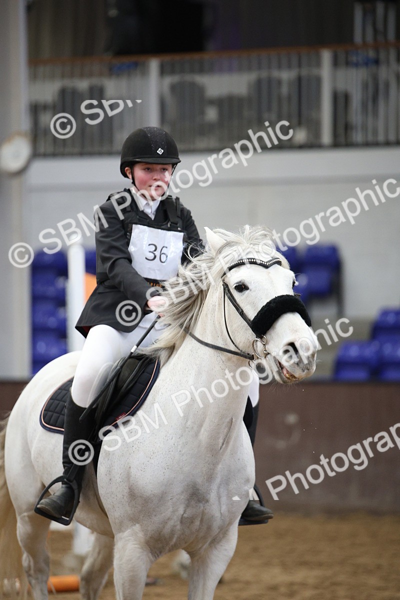 SBM_001386 - Class 5 - 80cm