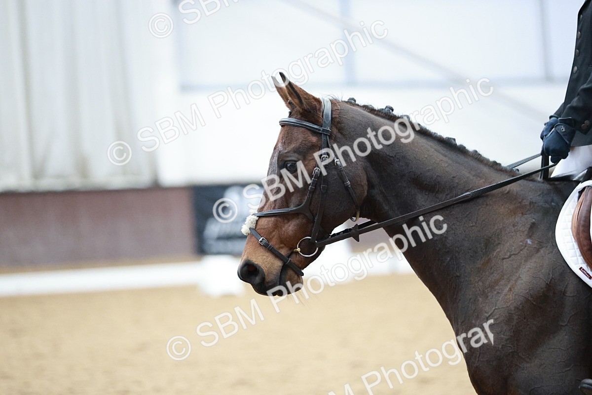 SBM_003752 - Class 2 - Novice 2020