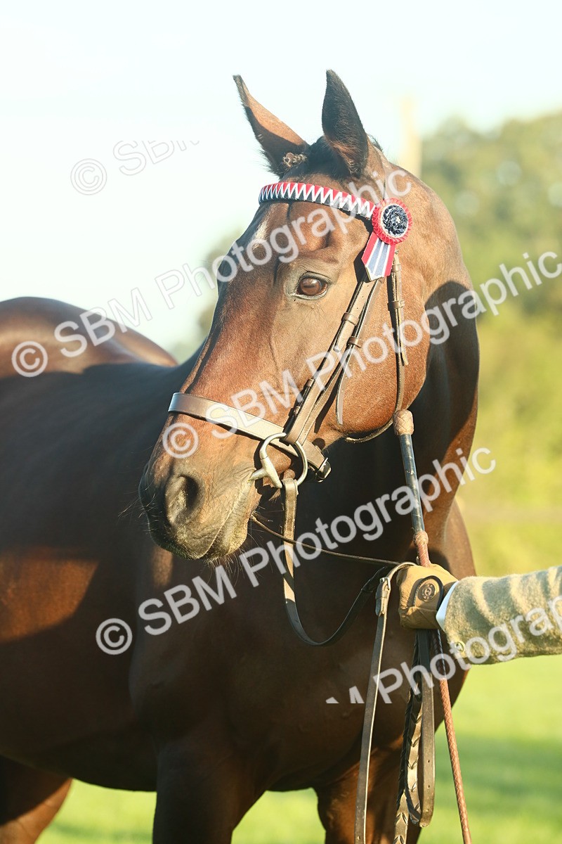 SBM_56652 - S36 - Starters Best Turnout