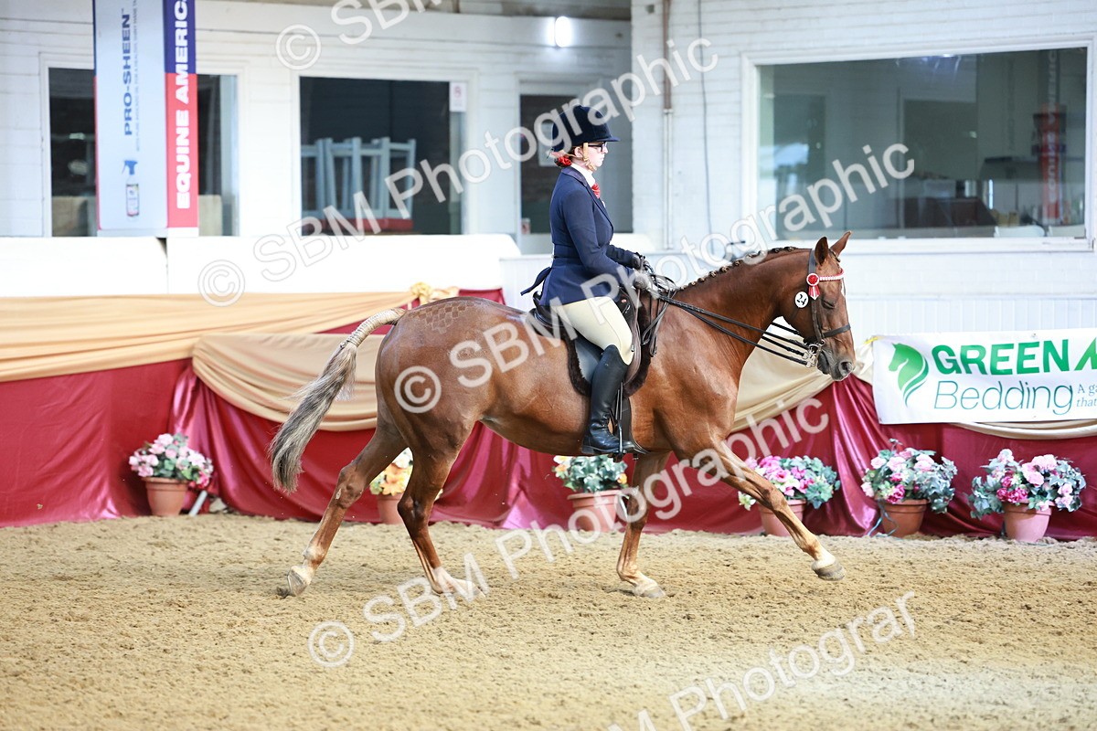 SBM_11931 - Class 102 - Equitation (Best Rider) Adult