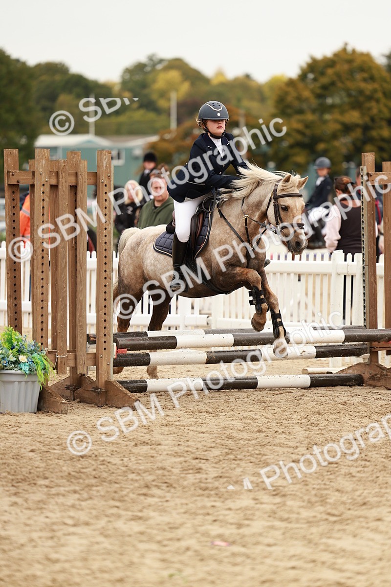 SBM_58011 - J11 - Junior Pony 50cm Championship
