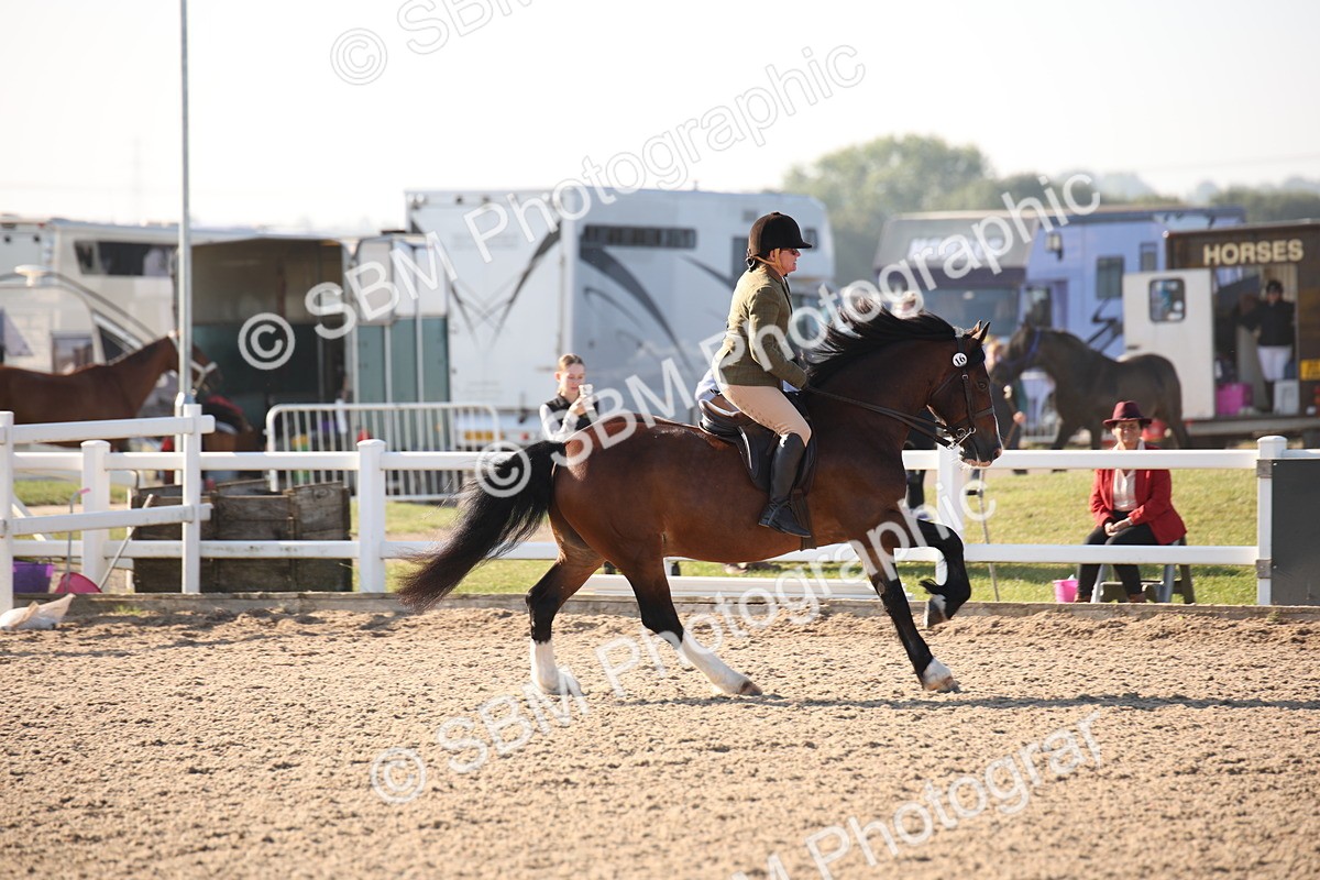 SBM_00631