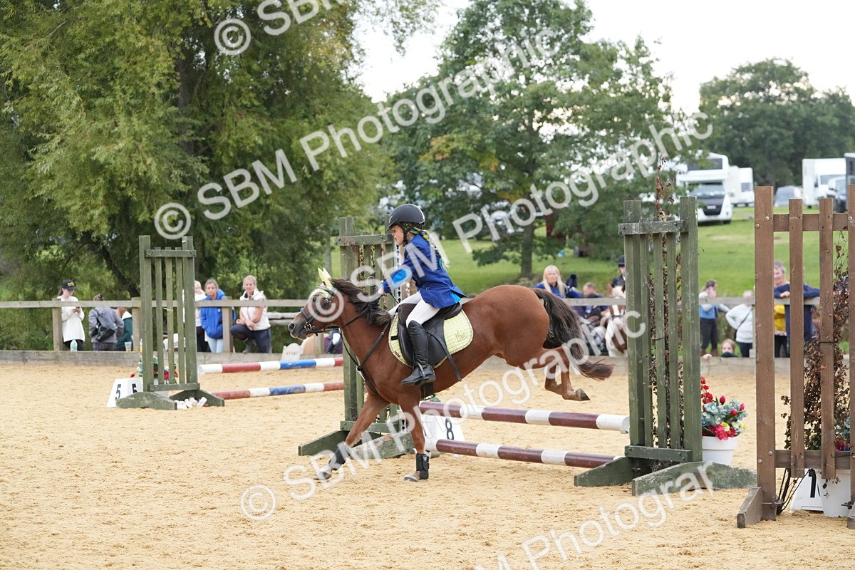 SBM_74534 - J4 - Mini Tour Junior Pony 45cm Championship