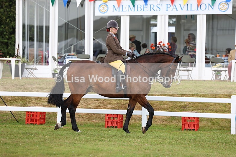 3E7A9261 - Class 4: Rising Star M/H Hunter