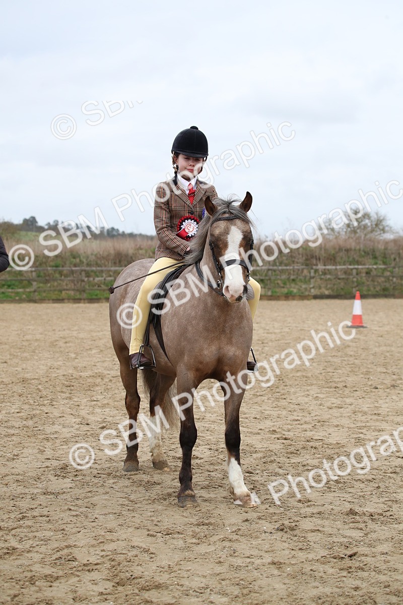 SBM_007118 - Class 10-13 - RIHS Small Large Breeds