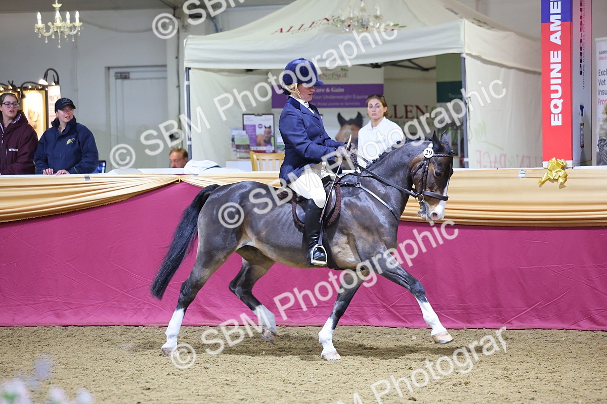 0B8A4609 - Class Q Style & Performance Champ