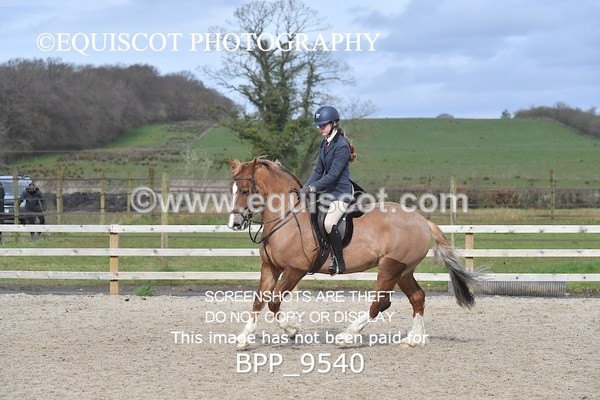 BPP_9540 - RING 2 - M&M