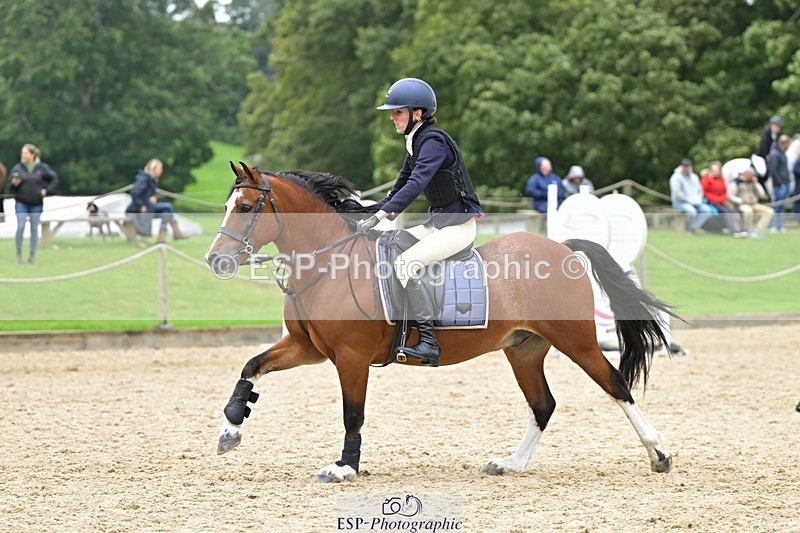 240929-123943-00706 - Cls 2 80-85cm 12.15 to End