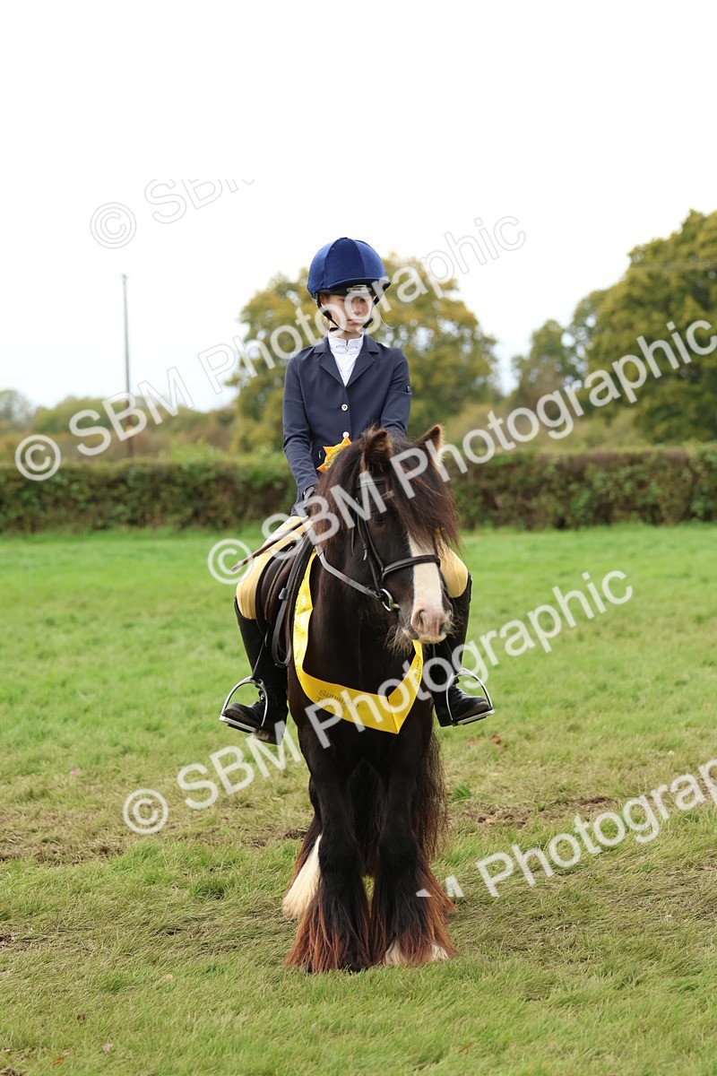 SBM_67563 - S60 - Mini Show Cob Ridden