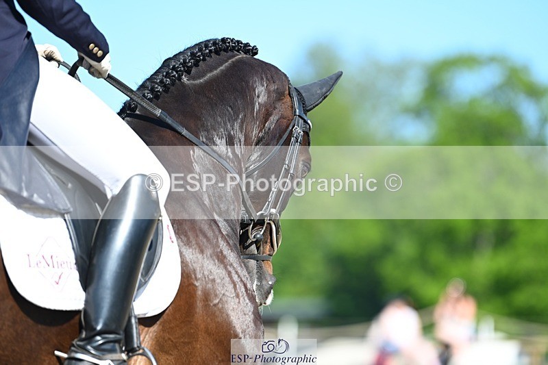 230526-093551-05479 - 456-CHARLY_VAN_TER_HEIDEN-Mollie_Summerland-DR