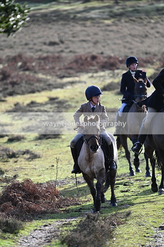 WJ7_8078 - Line 3 (no line 4 or 5)