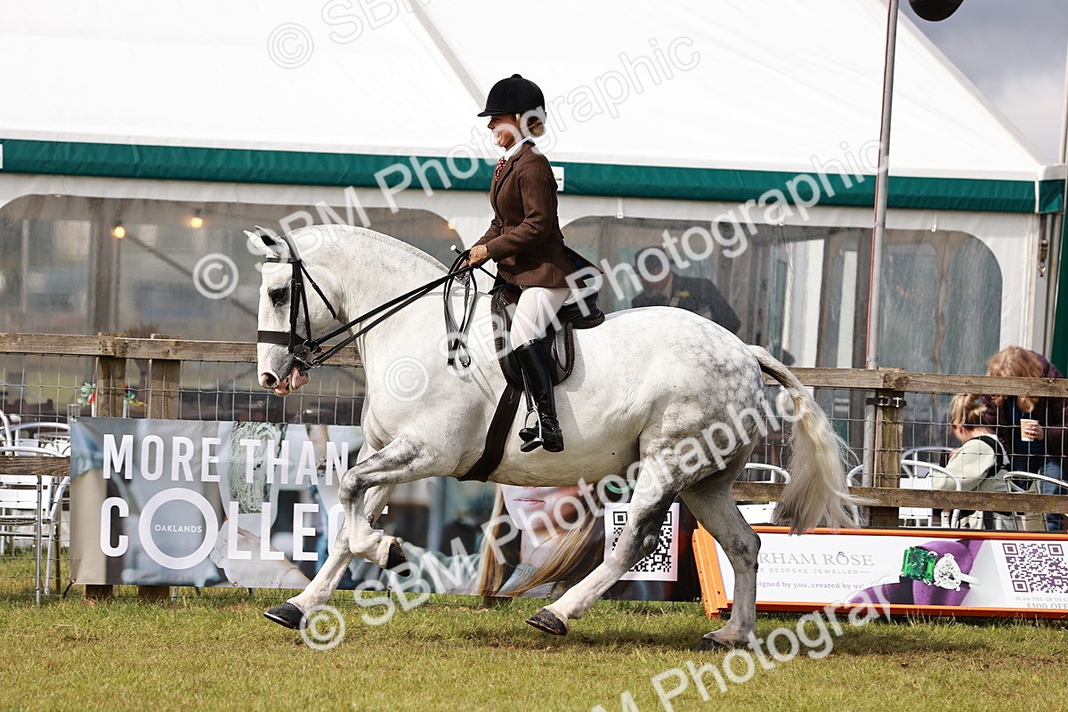 SBM_13109 - Class 85-87 - RIHS Cobs