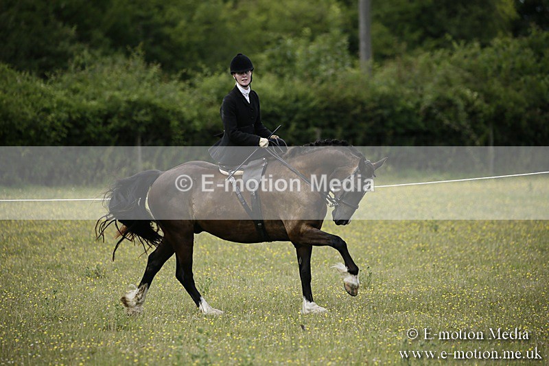 BVR160717-1638 - Side Saddle Classes 16/07/17