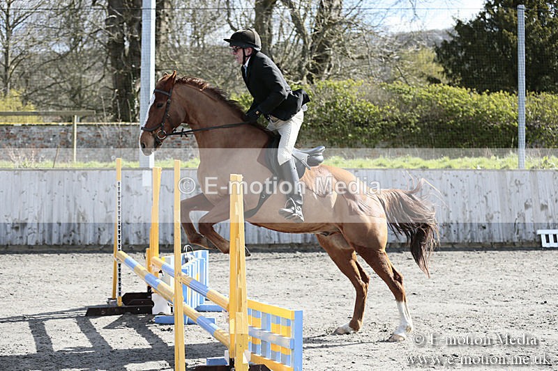 BVRC SJ 170319 242 - Bourne Valley Riding Club Showjumping 17/03/19