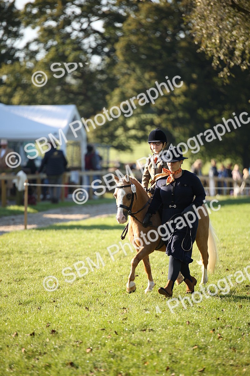 SBM_34226 - S9 - Lead Rein Equitation