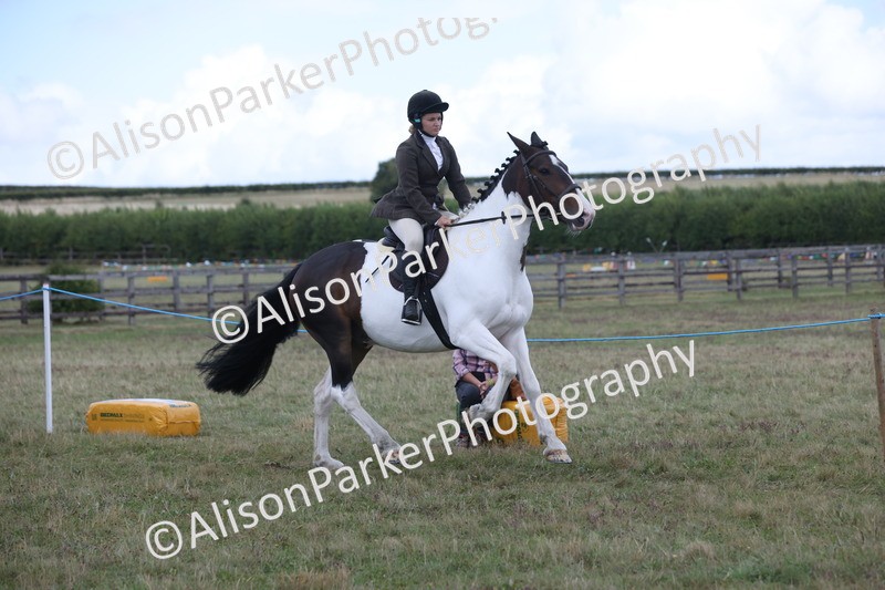 20250831-4241 - Class 20 - Ridden Coloured