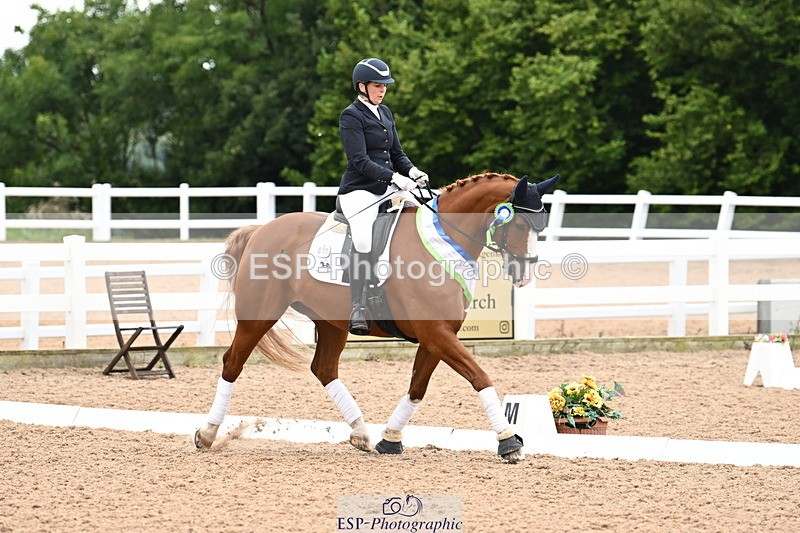 240815A-153100-02332 - Cls 9-P Freestyle Adv Medium Bronze