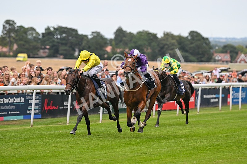 290725-Race 3-Ancient Egypt-0111 - Race 3