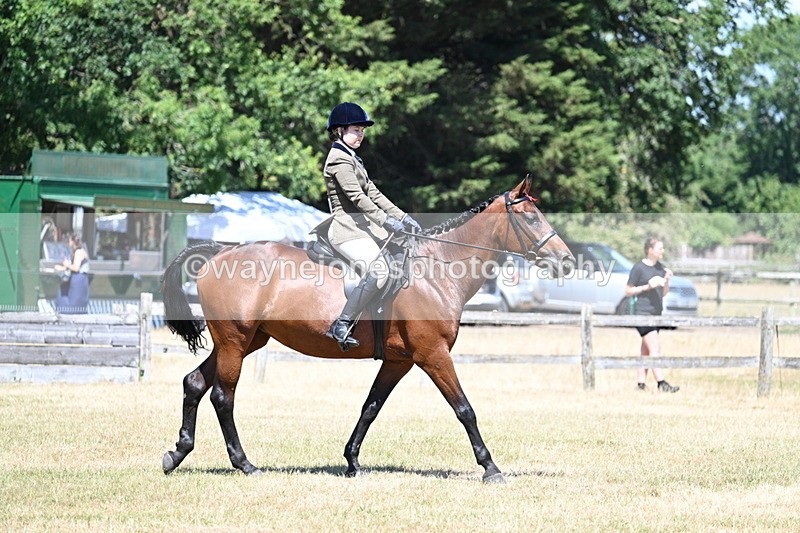 WJ7_3031 - Class 7 Riding Club Show Horse