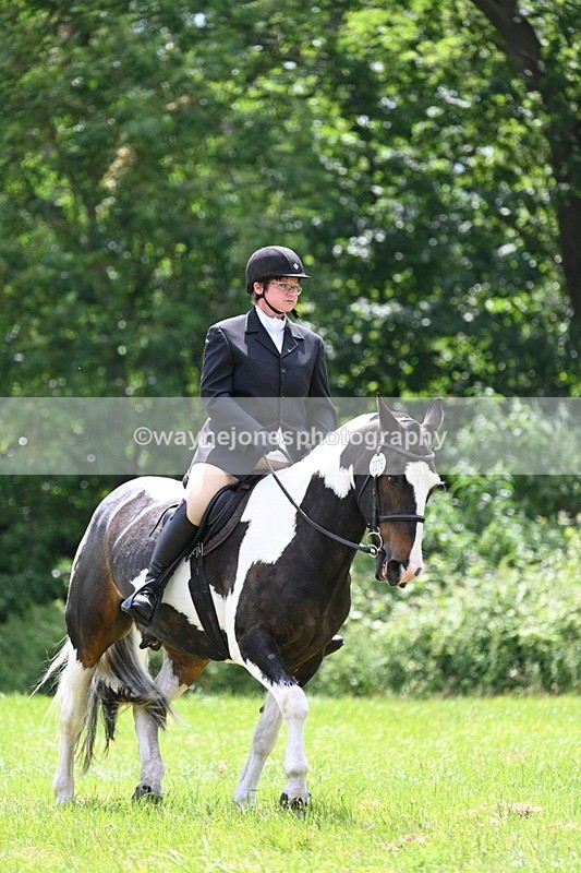 WJ7_2637 - Class 12A Coloured Class
