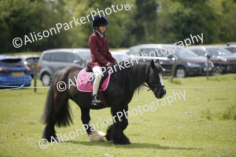20260426-3441 - Class 11 - Best Mane and Tail