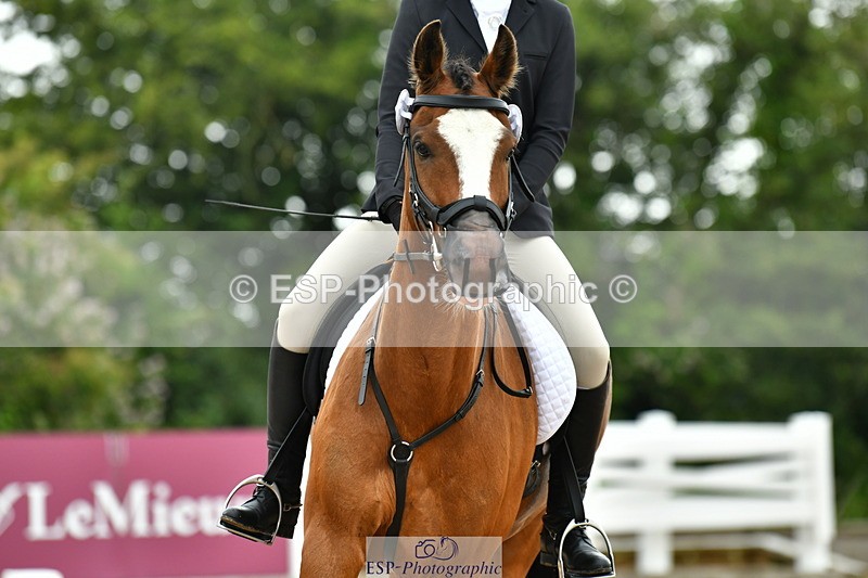 230708A-115136-02636 - Prelim 13