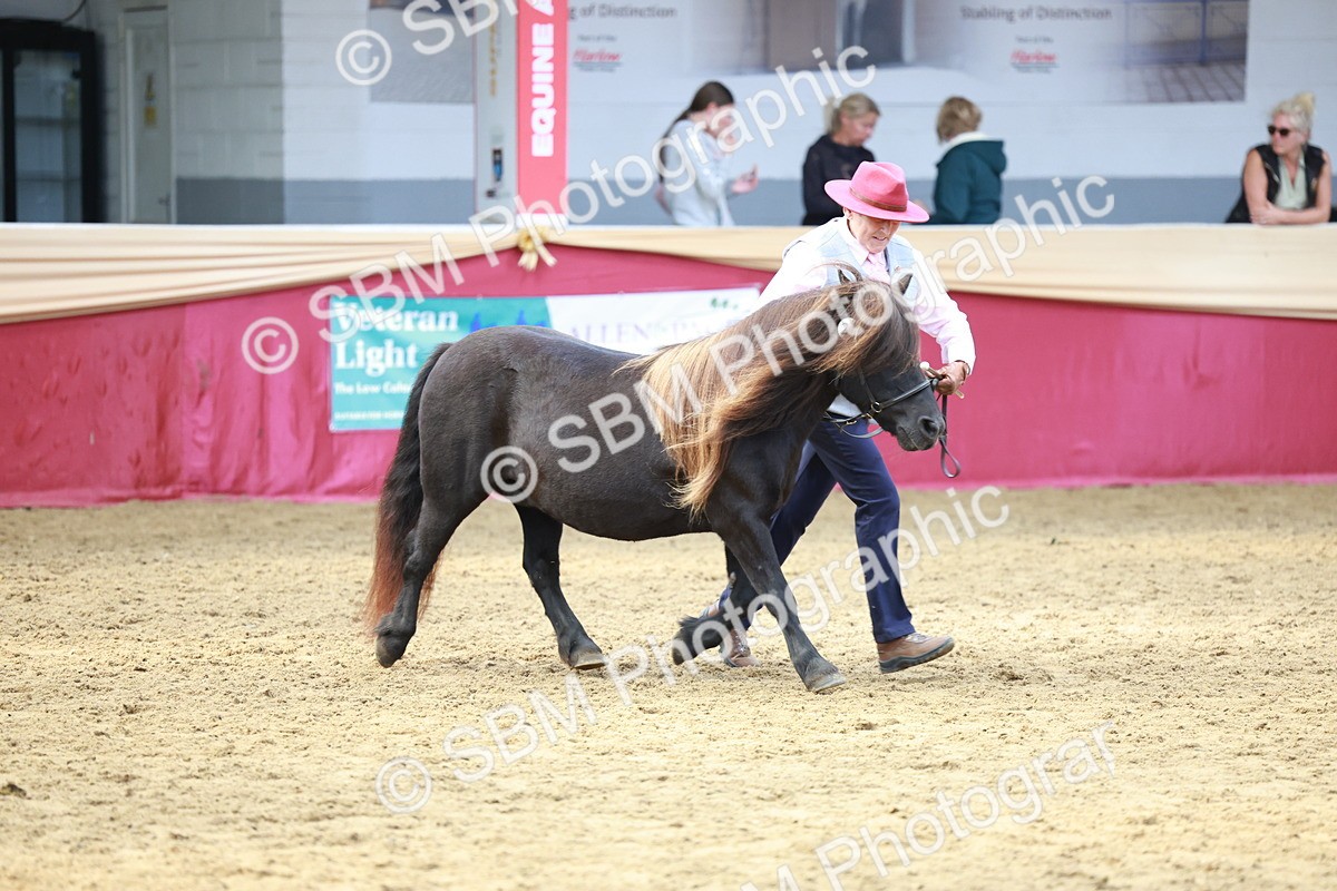 SBM_17498