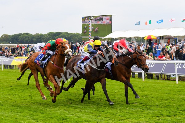 180523-Race 3-Croupier-0399 - Race 3 3.00pm Sky Bet Hambleton Handicap