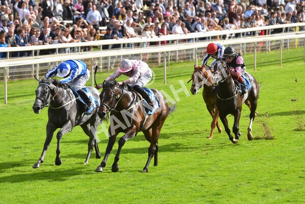 yr24092021r4-24 - Race 4 3.15pm William Hill Play Responsibly British EBF Restricted Novice Stakes