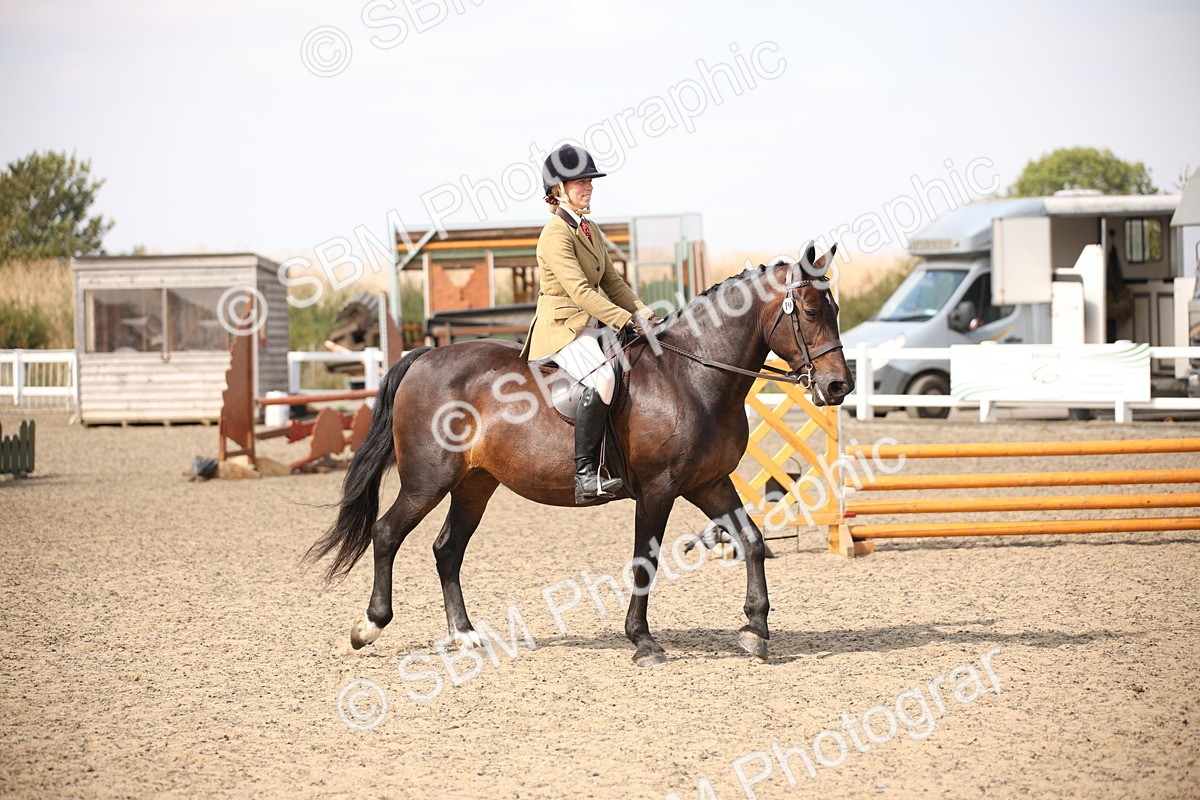 SBM_15051 - Class 408a - Working Veteran 70cm (15-19