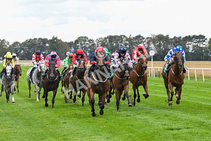 060925-Race 5-Eternal Sunshine-5866 - Race 5