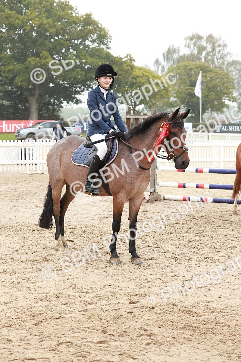 SBM_73560 - Supreme Championship Junior Pony 60cm & 65cm