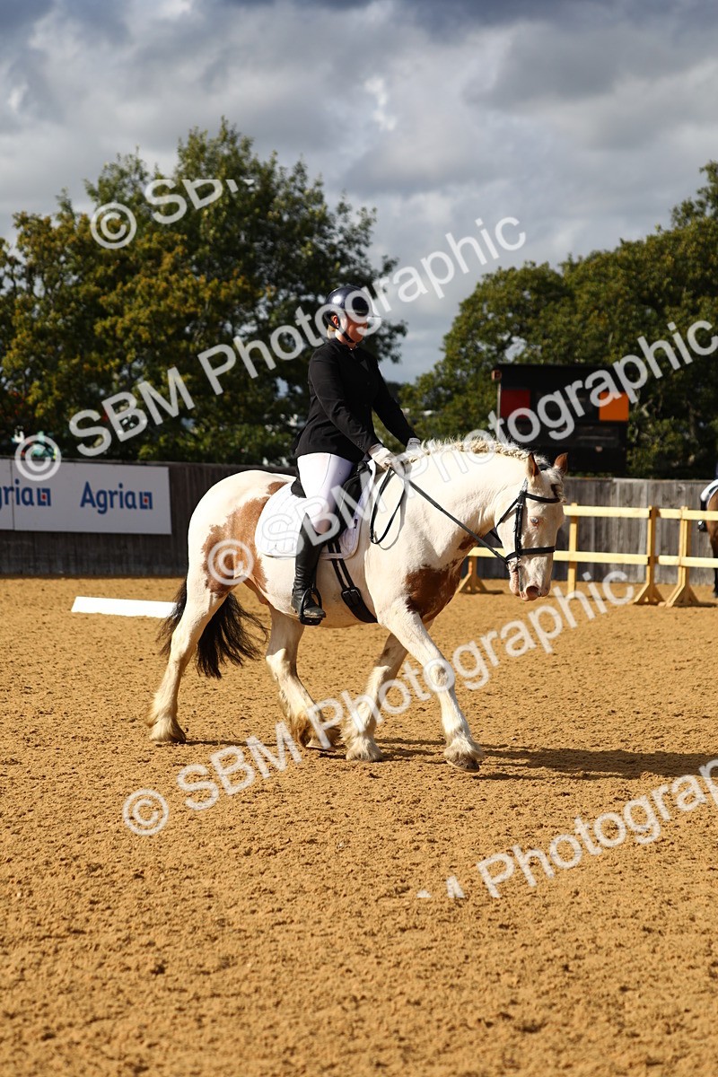 SBM_26671 - D11 - Small Tour Championship Prelim 1