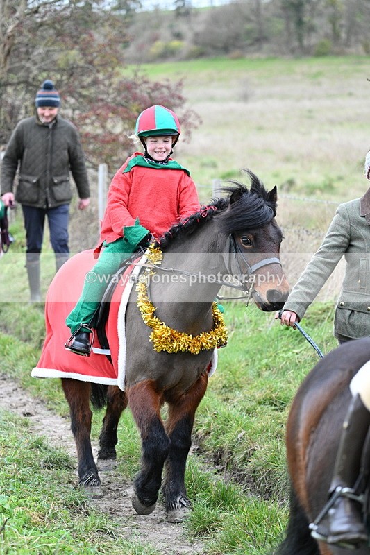 WJ7_0951 - First Seen