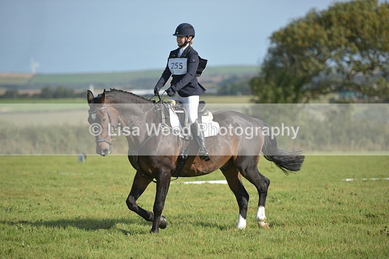 RAY_7476 - Class 2B: Trekenning Open: Dressage