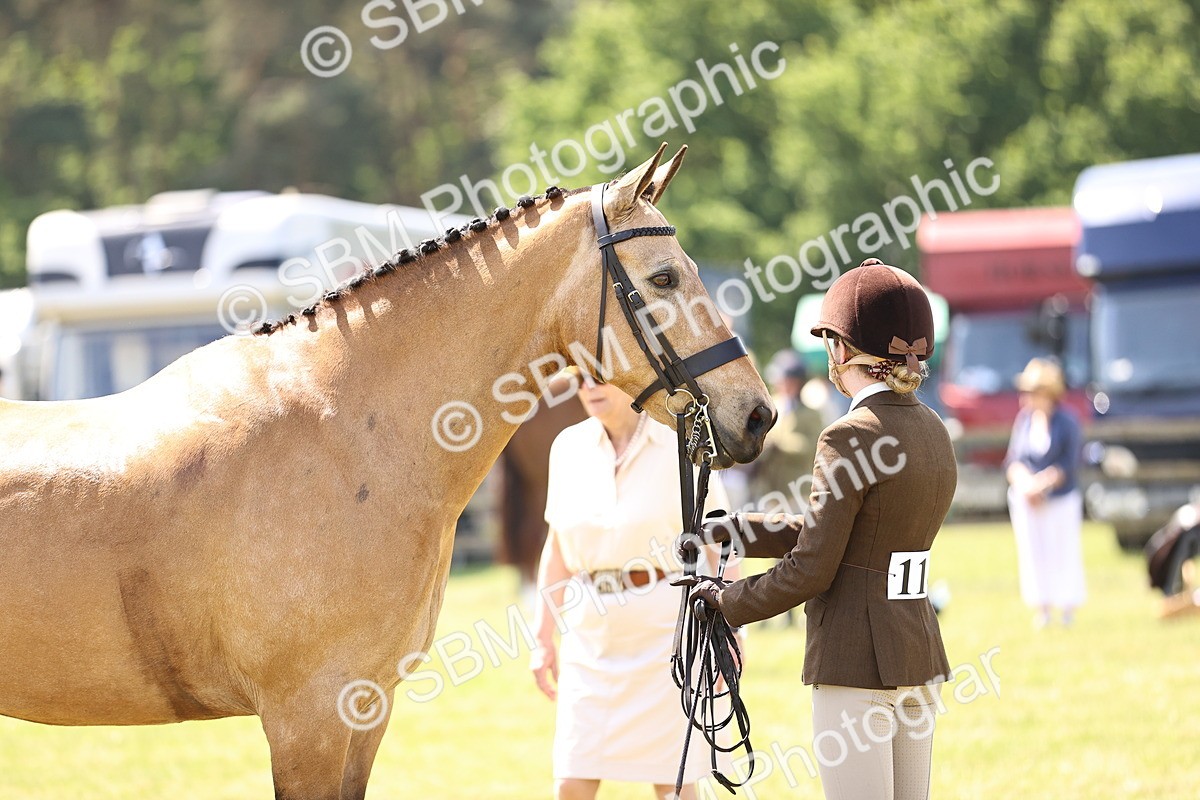 SBM_15198 - Class 79-80 - LIHS BSHA Rising Star Ridden Hunter