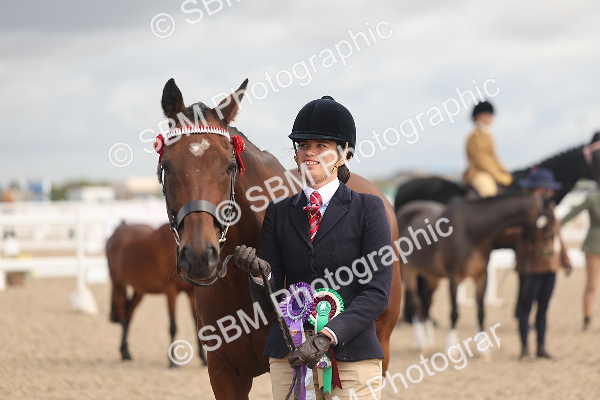 SBM_04511 - Class 18 - Handsomest Gelding (IH or Ridden)