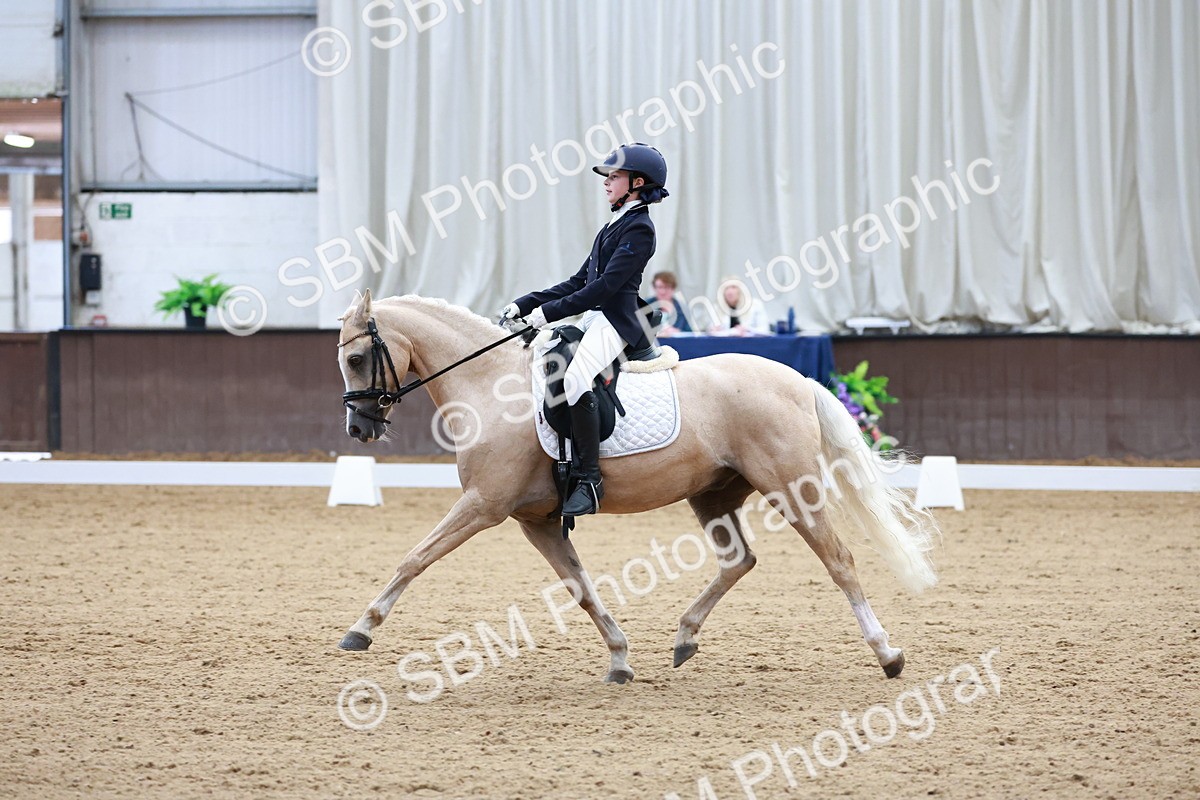 SBM_017389 - Class15 - FEI Pony
