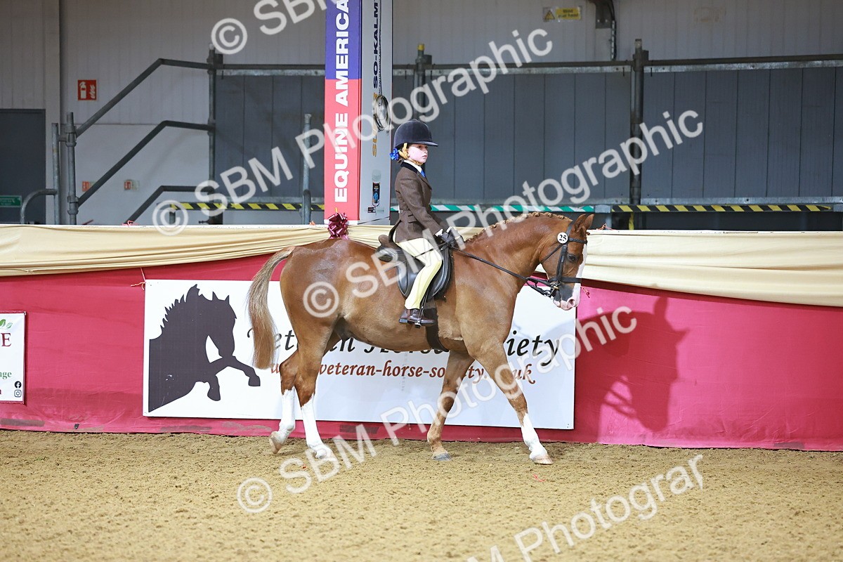 SBM_07536 - Class 101 - HOYS Veteran Qualifier - Ridden Diamond