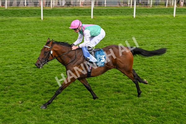 170524-Race 5-Lead Artist-8338 - Race 5 4.15pm  Darley EBF Novice Stakes