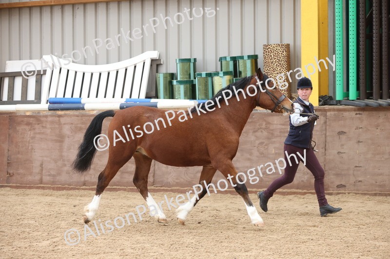 20251109-0900 - Class 26 - 2 and 4 Year Olds