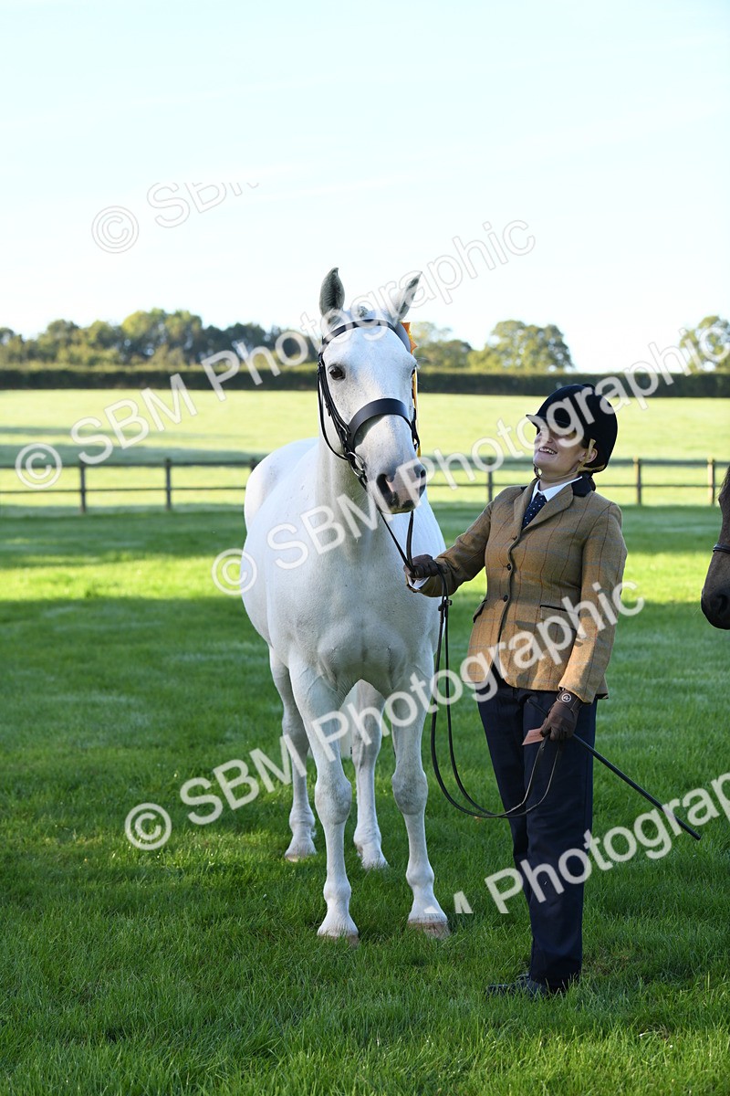 SBM_32832 - S15 - Condition & Turnout In Hand
